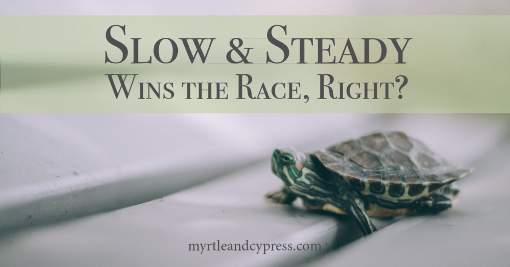 Slow and Steady Wins the Race, Right?